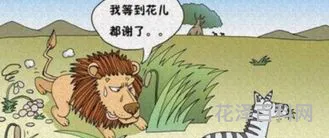 耐心的反义词