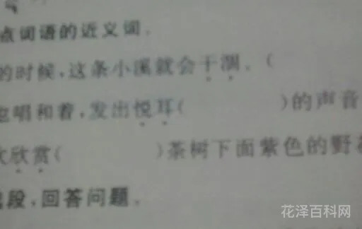 的近义词是什么 一二年级近义词大全