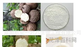 中草药提取物，中草药提取物英文名称是什么呢