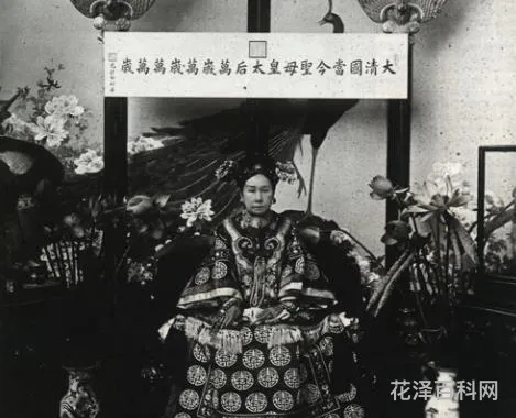 载淳怎么死的 载淳和载湉是什么关系