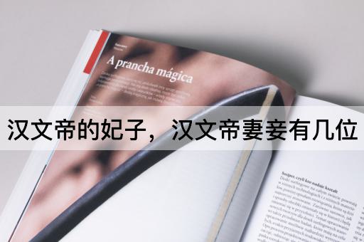 汉文帝的妃子，汉文帝妻妾有几位