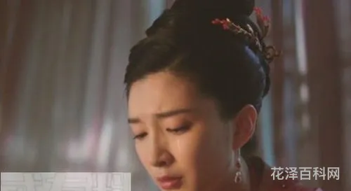曹皇后有孩子吗