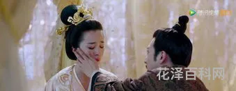 宇文邕怎么死的，宇文邕一生最爱的女人
