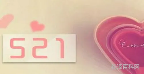 521是什么意思啊