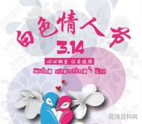 三月十四日是什么节日