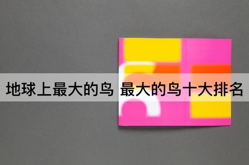 地球上最大的鸟 最大的鸟十大排名