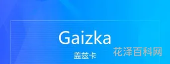 ka是什么意思，KA在职场是啥意思