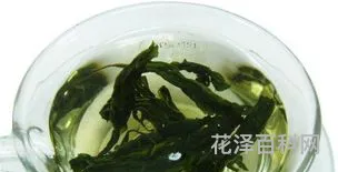 刺五加茶能增强性功能吗