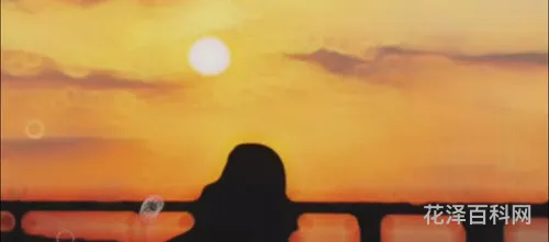 快乐还是忧伤 该歌曲的纯音乐类型