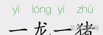 成语一龙一猪是什么意思