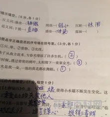 蕴含的近义词是什么，蕴含的高级替换