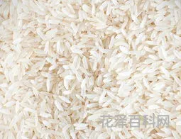 粳米是糯米吗 正宗的粳米图片