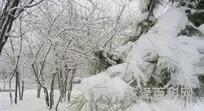 大雪纷飞的唯美句子