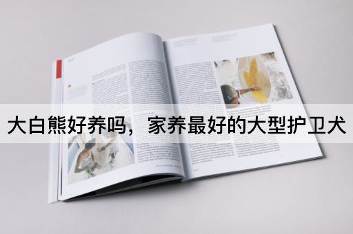 大白熊好养吗，家养最好的大型护卫犬