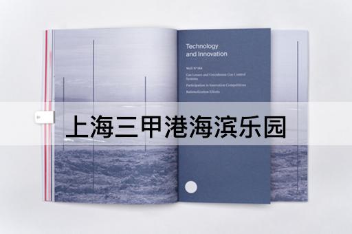 上海三甲港海滨乐园