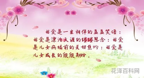 相伴一生的唯美诗句，只字不提爱,句句都是爱的诗句