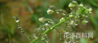 杭州梅雨季节，杭州梅雨季节是几月份到几月份结束