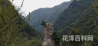 神农架林区级别