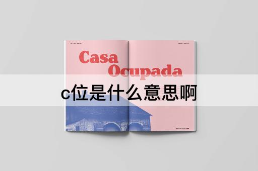 c位是什么意思啊