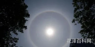 日晕是什么意思