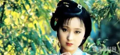林黛玉的父亲，林如海家世背景介绍原文