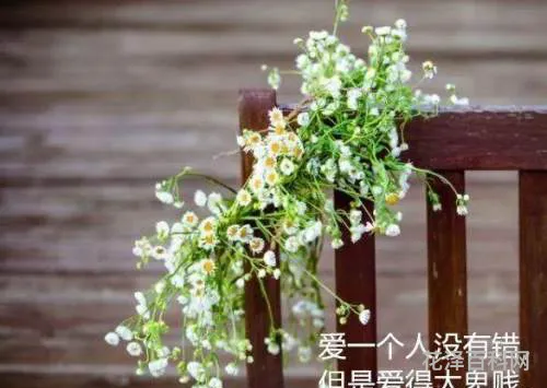 桂花发朋友圈的句子