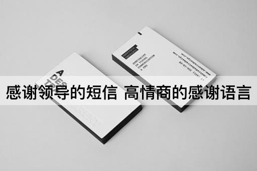 感谢领导的短信 高情商的感谢语言