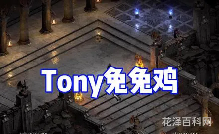 暗黑破坏神雇佣兵，第二幕的雇佣兵选哪个好