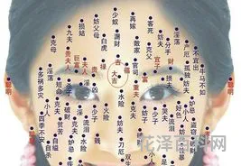 朱砂痣长在哪里