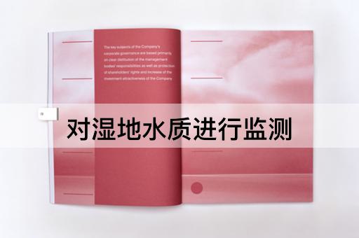 对湿地水质进行监测