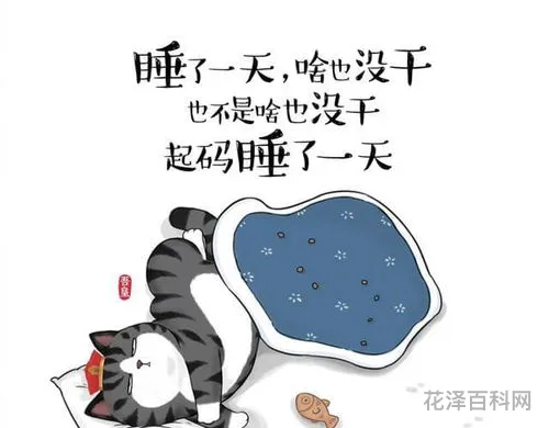改变了我的生活，什么改变了我作文500字
