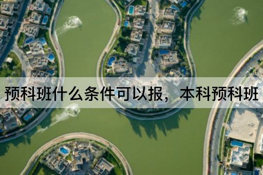 预科班什么条件可以报，本科预科班