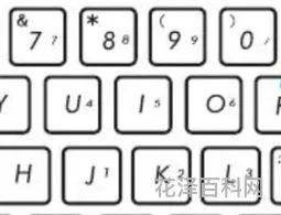 笔记本键盘变数字 键盘打字出现数字怎么调整