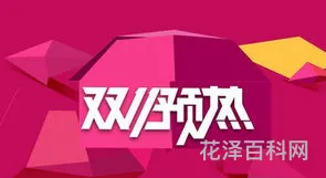 双11是什么