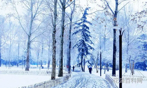 关于雪的文案