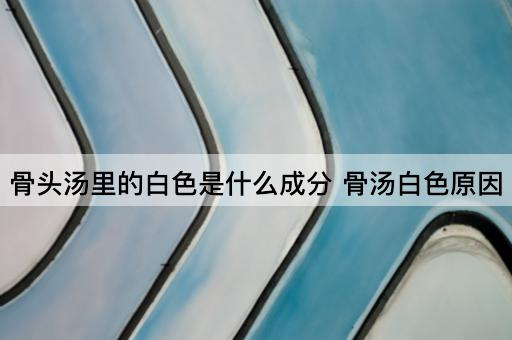 骨头汤里的白色是什么成分 骨汤白色原因