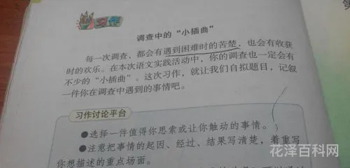 调查中的小插曲作文 课堂上的小插曲作文450字