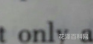 only的意思 only中文名叫啥