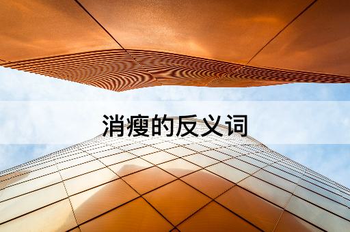 消瘦的反义词