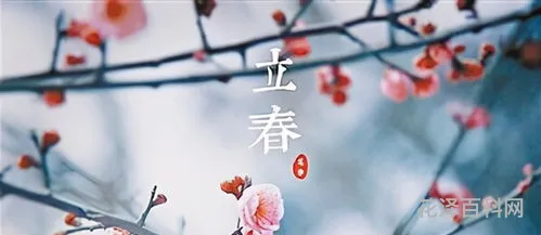 2021年什么时候立春 2024年为啥叫寡妇年