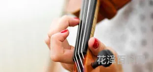 琵琶中的琵和琶最初指的是 琵琶原名枇杷来源于它的什么