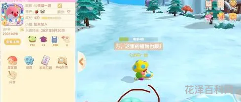 摩尔庄园怎么摆向导桌