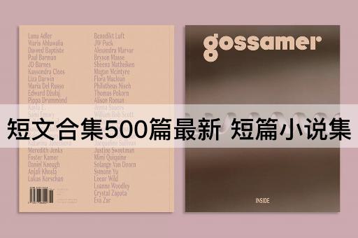 短文合集500篇最新 短篇小说集