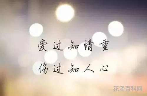 心酸是什么意思，心酸表达了什么的感情