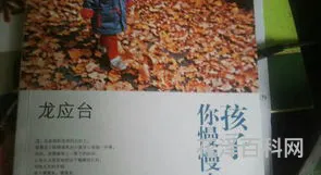 孩子你慢慢来读后感