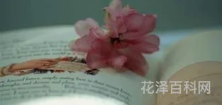等待戈多读后感 等待戈多心得体会