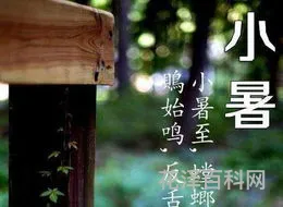 小暑是入伏第一天吗 二十四节气表