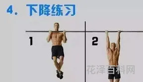 引体向上做不了