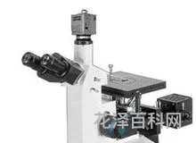 显微镜的用途，光学显微镜能观察到什么