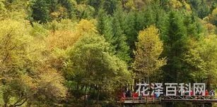 九寨沟旅游几月份最佳时间，九寨沟哪个季节去最美